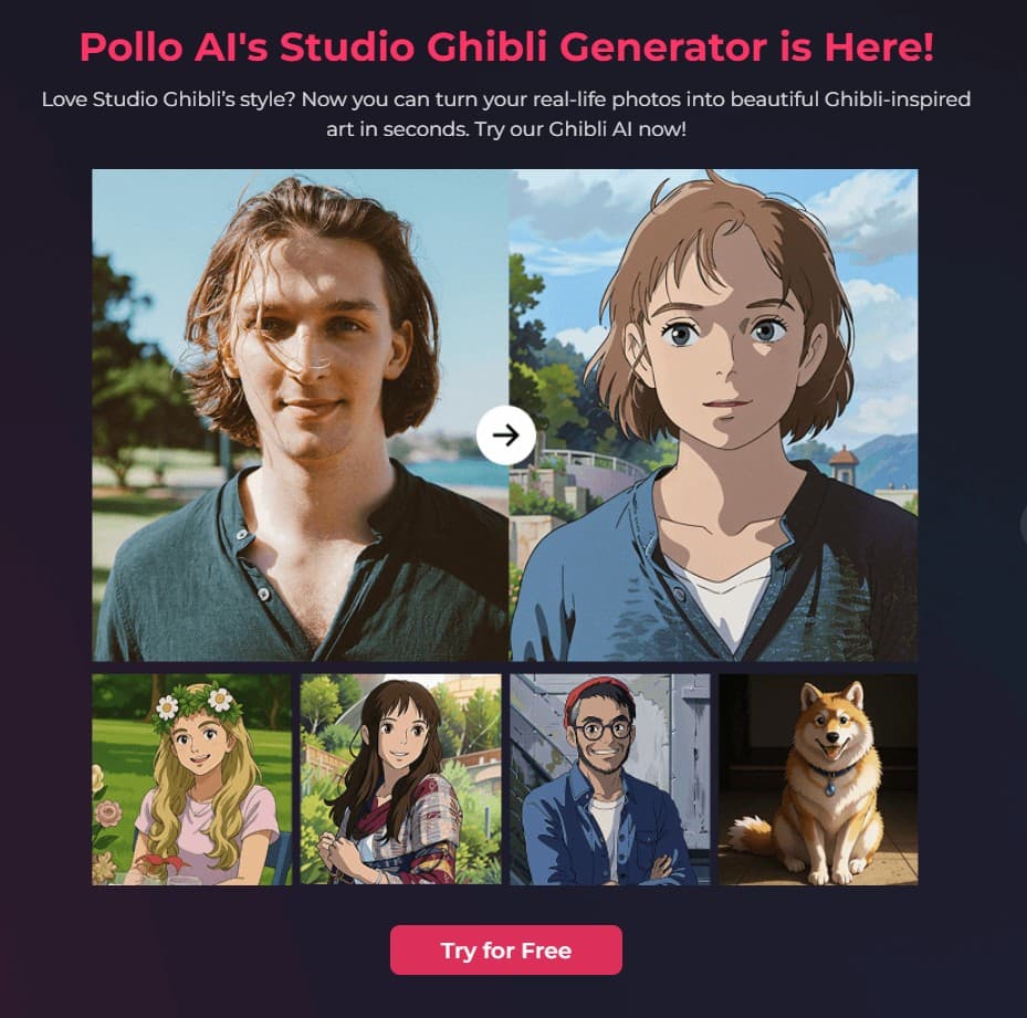 Polloai