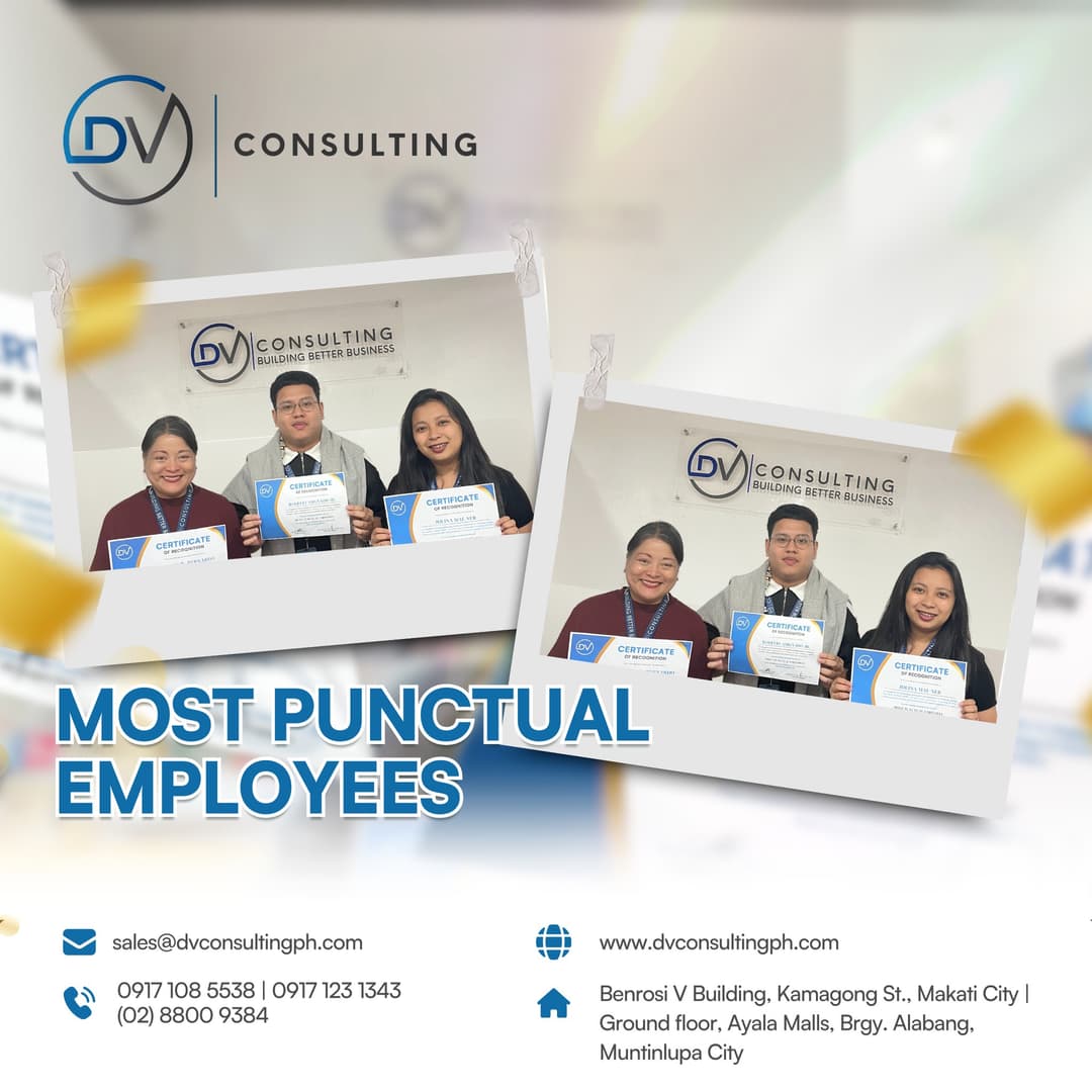 DV Consulting 